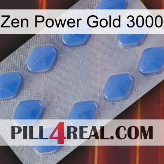 Zen Power Gold 3000 21